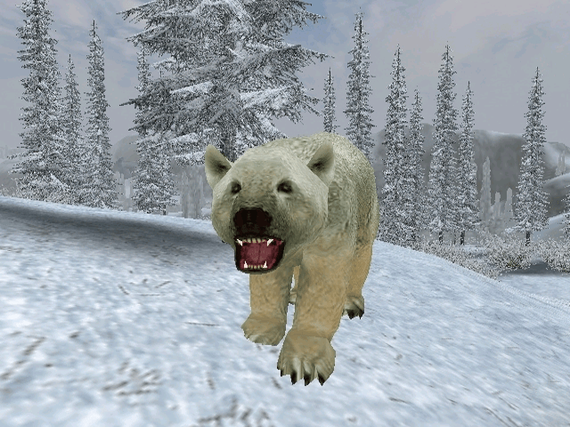 Cabela's Big Game Hunter 2005 Adventures screenshot 4 for Xbox